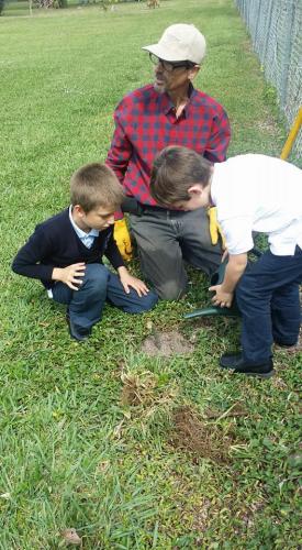 gardening